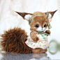 squirrel Mary by By Anna Volkova | Bear Pile: 