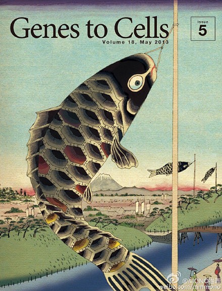 「日本科学杂志《Genes to Cel...