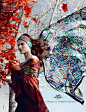 Hermès2012秋冬系列广告大片（组图)(第1页)_奢侈品频道_MSN中文网