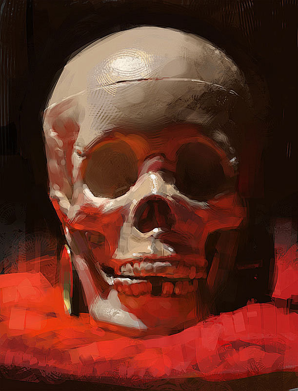 Skull still life, ry...