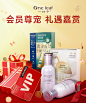 一叶子粉丝会员