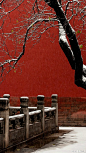 故宫雪景：白雪镶红墙，碎碎坠琼芳 - 治愈系图片 - 壹心理
