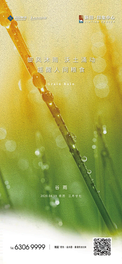 SAN/GU采集到谷雨/雨水/清明