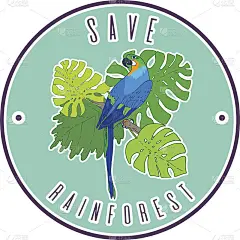 拯救雨林海报模拟设计。向量金刚鹦鹉插图