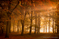 Autumn in The Netherlands 2015 : Bas Meelker's latest Autumn images from the Netherlands