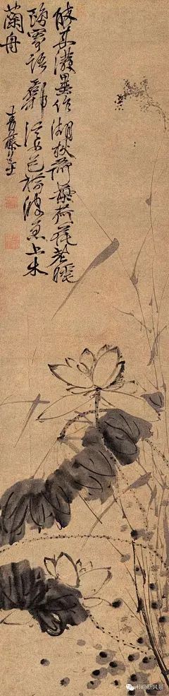 大名鼎鼎的写意大师“青藤白阳”笔下的墨荷！明 徐渭 荷趣图