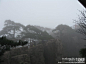 雨雾中的黄山松,多图, NEW高达旅游攻略