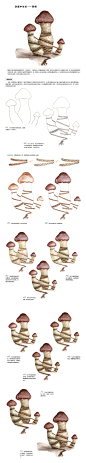 本案例摘自人民邮电出版社出版、爱林文化主编的《浪漫水彩课——创意植物手绘技法》http://product.dangdang.com/23746214.html