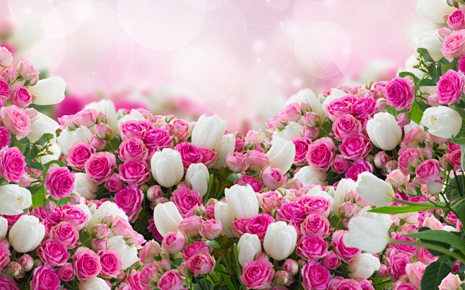 許多花，白色鬱金香，粉紅玫瑰 壁紙 - ...