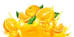Tropicana - Packaging Illustration on Behance