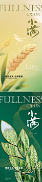 小满节气海报设计师小满节气海报-志设网-zs9.com