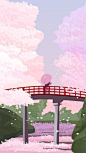 Sakura bridge h5 romantic background