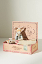 Mum & Dad Mouse in a Box