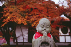 烟雨兰花采集到云水禅心