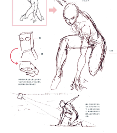 用户yNcNsY0v采集到人体透视