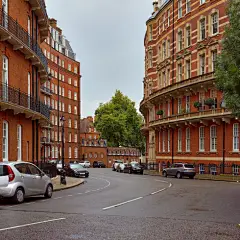 免费 带有车辆的并排建筑物附近的混凝土路 素材图片