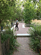 The Meadow in the Gardened Square by PRAXYS — 景观建筑平台 |兰德嗪
