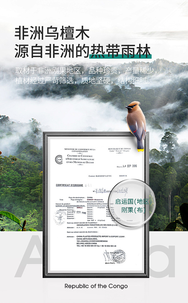 【华帝砧板】华帝 实木菜板3cm加厚圆形...