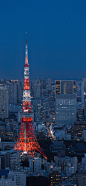城市夜景 手机壁纸