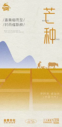 芒种节气海报