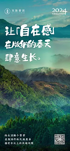 双陈普洱茶山行海报1