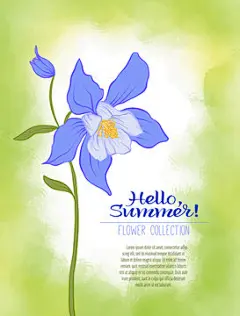 图源免费EPS |绿色水彩背景上的耧斗菜花。花