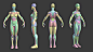 Stylized Heroine Anatomy Blockout