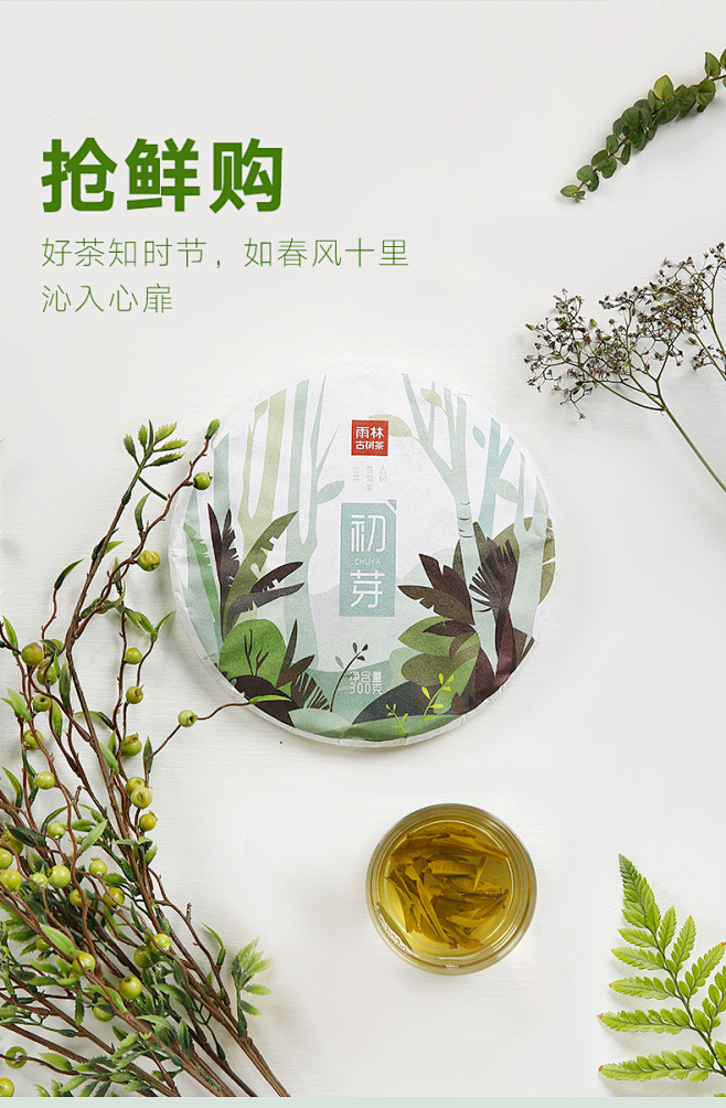 雨林古树普洱茶 初芽2017头春古树普洱...