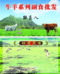 牛羊名片源文件