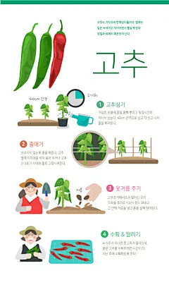 农业蔬果种植宣传插画