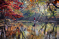 季相 秋 韩国 禅云寺
在秋天的早谷 _园林采下来 #率叶插件，让花瓣网更好用#