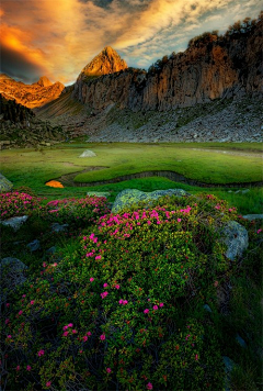 桑小楼采集到沿途风景