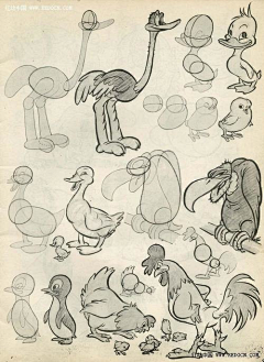 白熊ي采集到动物结构 绘画