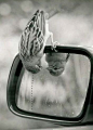 ♥ Miror: