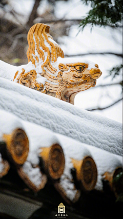 月色溶溶蝴蝶梦采集到紫禁城岁时