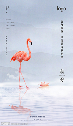 旭鹏8采集到秋分