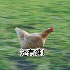 半世纪不敢拆的礼物采集到金馆长表情大全