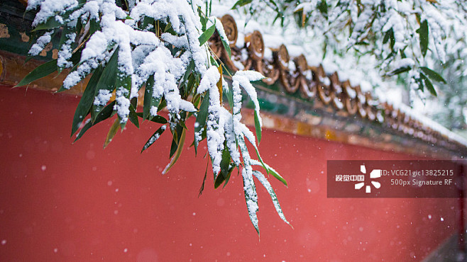 雪,故宫,大风雪,节气,雪花正版图片素材
