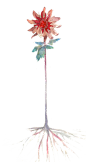 12756625134530副本