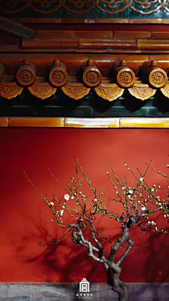 你在故宫开大G，而我只想看美景！故宫123张美图，承包你一年的手机壁纸! : 如果你还没有去过故宫，2020年，有机会去一次吧。