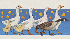 VincentBlake采集到插画动物