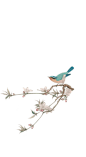 素•古风言情(129图)_@花卷子是我偶像qvq收集_花瓣