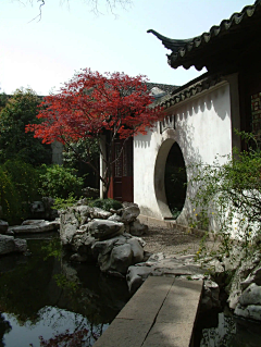 242-12采集到中国古典园林