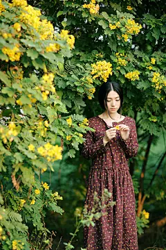 请你告诉我鸢尾花是什么颜色