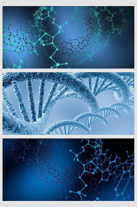 细胞基因分子结构-众图网