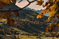 General 6144x4096 forest trees pine trees fall mist mountain view