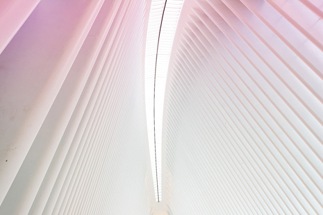Florian W. Mueller o...