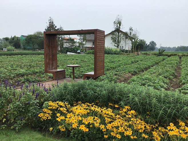 风景如画的南岸美村