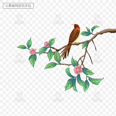 菡菡儿采集到新中式