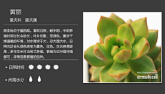 白羊喵仙人采集到多肉的肉